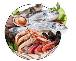 Seafood