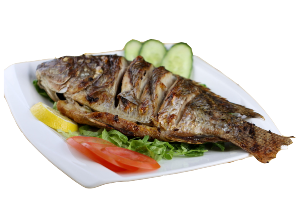 Fish